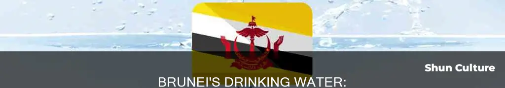 does brunei have clean drinking water