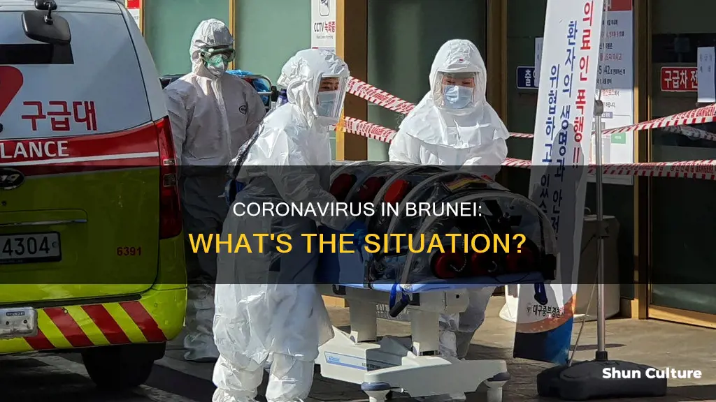 does brunei have coronavirus