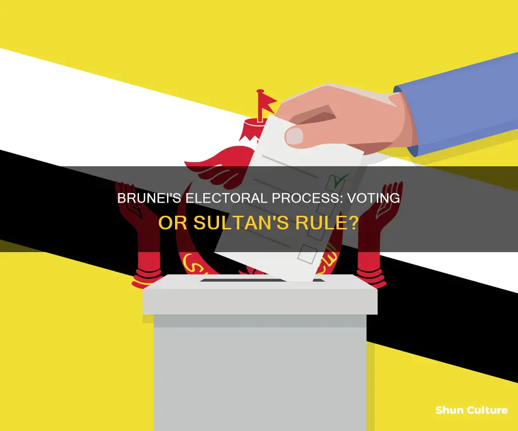 does brunei have elections