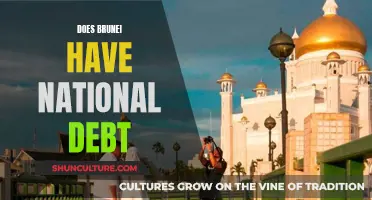 Brunei's National Debt: What's the Status?