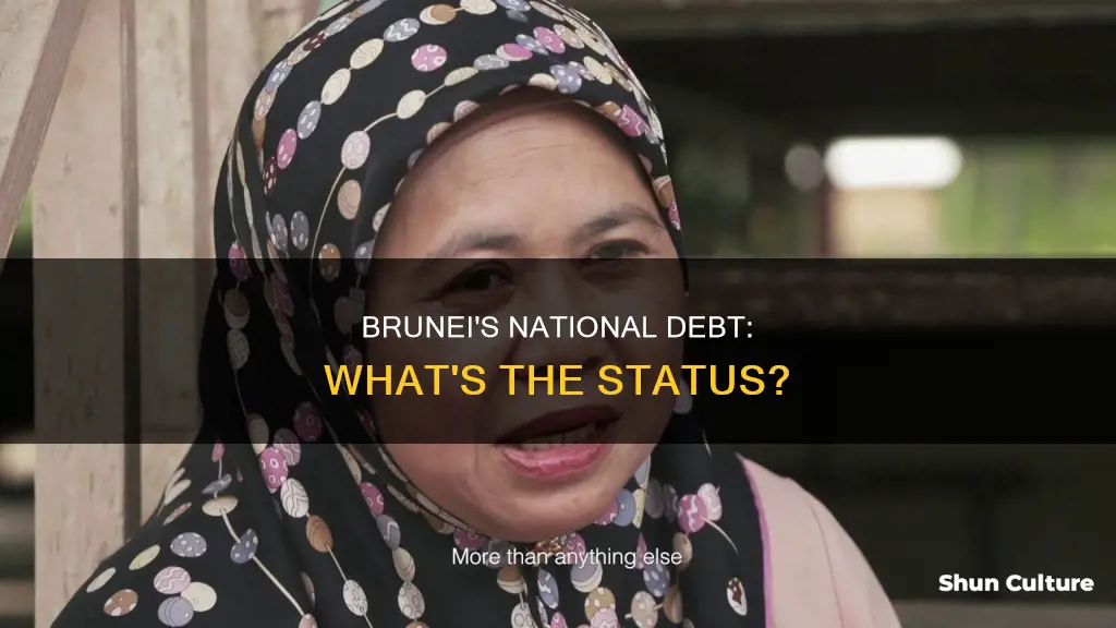 does brunei have national debt