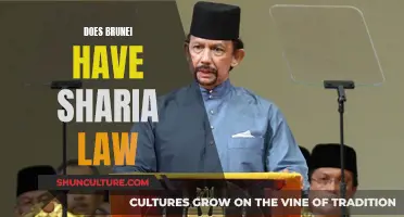 Sharia Law in Brunei: A Complex Reality