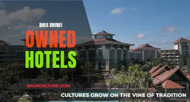 Brunei's Hotel Industry: Who Owns the Properties?