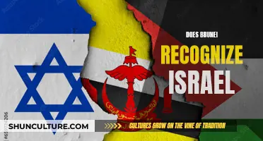 Israel-Brunei Relations: Recognition and Diplomatic Ties Explored