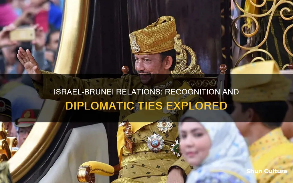 does brunei recognize israel