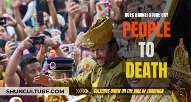 Brunei's Death Penalty for Gay People: Stoning Laws