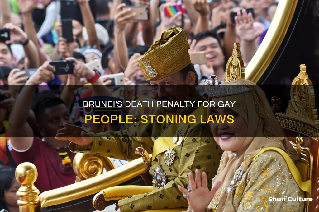 does brunei stone gay people to death