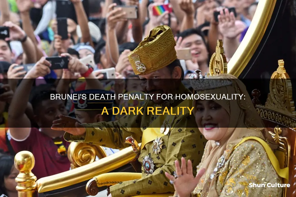 does brunei stone gay s to daeth