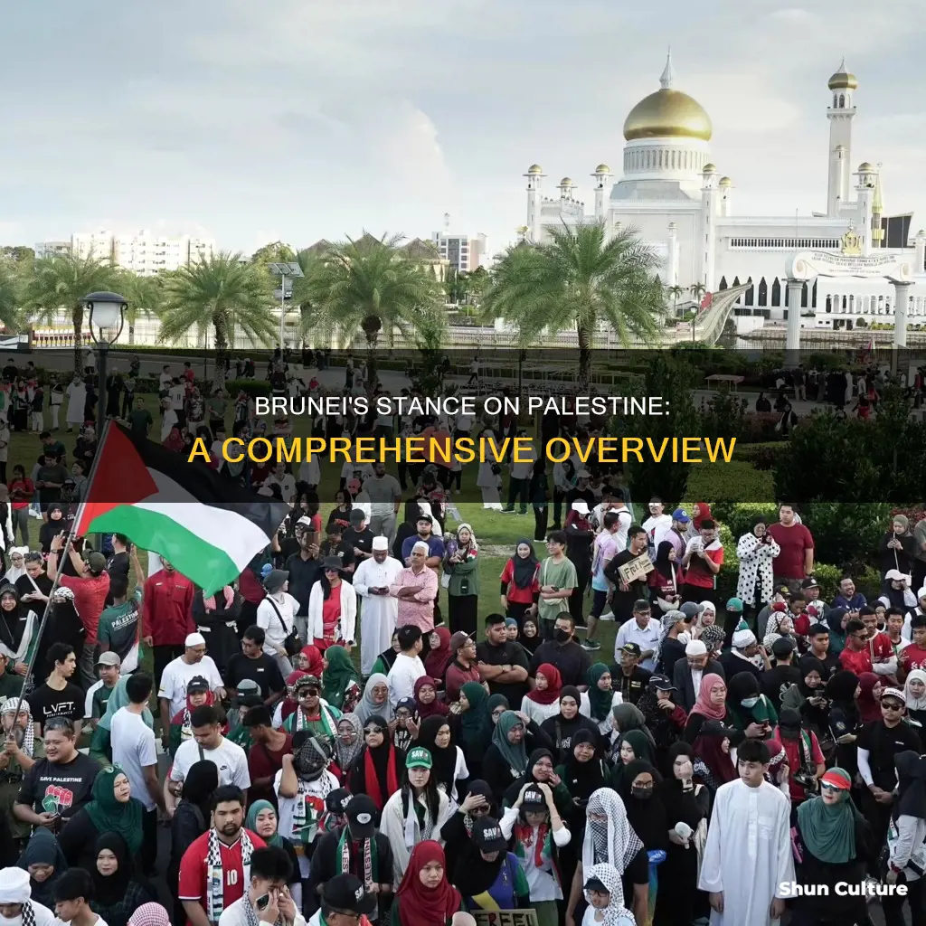 does brunei support palestine