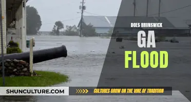 Brunswick, GA: Flood-Prone?