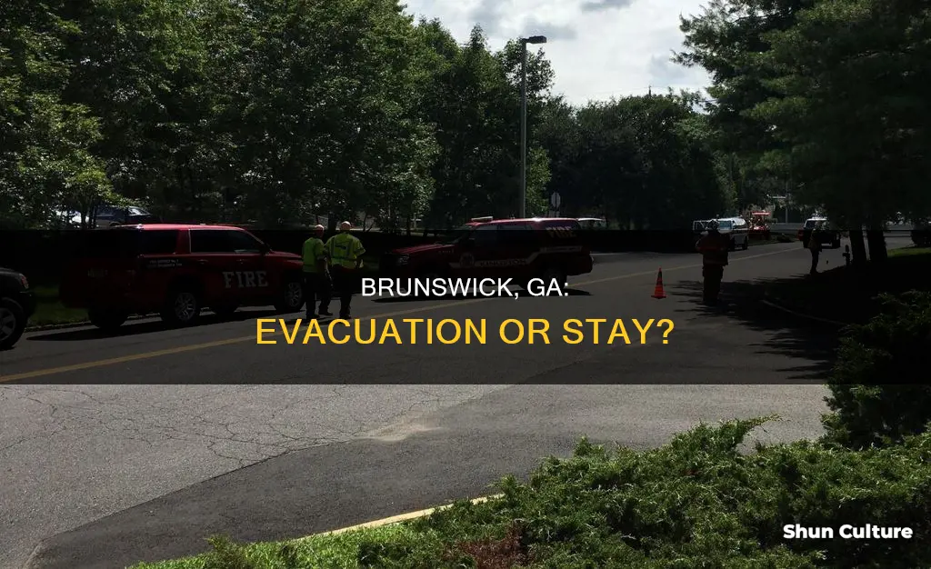 does brunswick ga have to evacuate