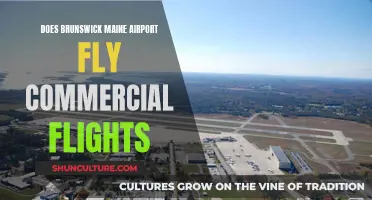 Brunswick Maine Airport: Commercial Flights?