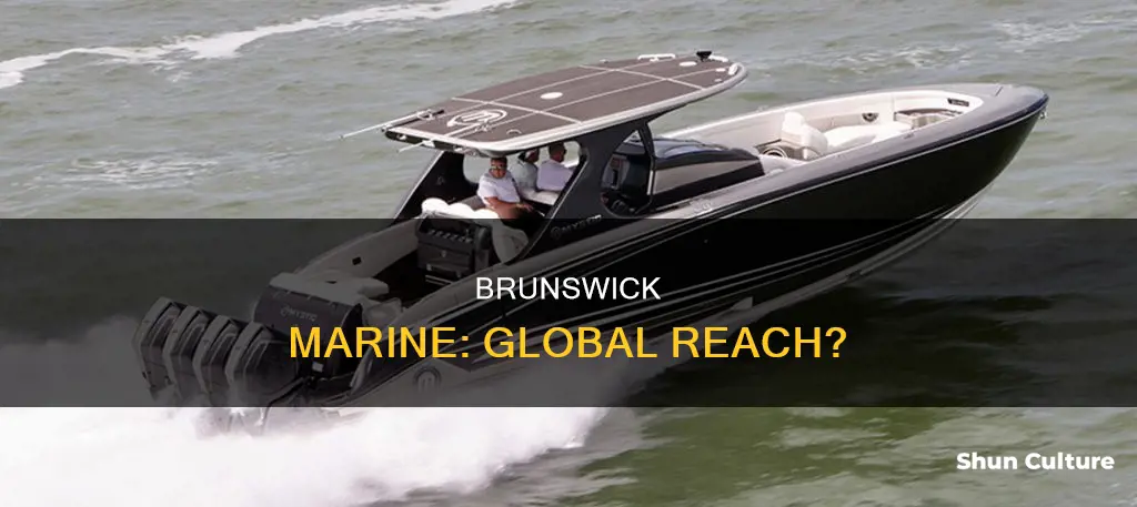 does brunswick marine sell globally