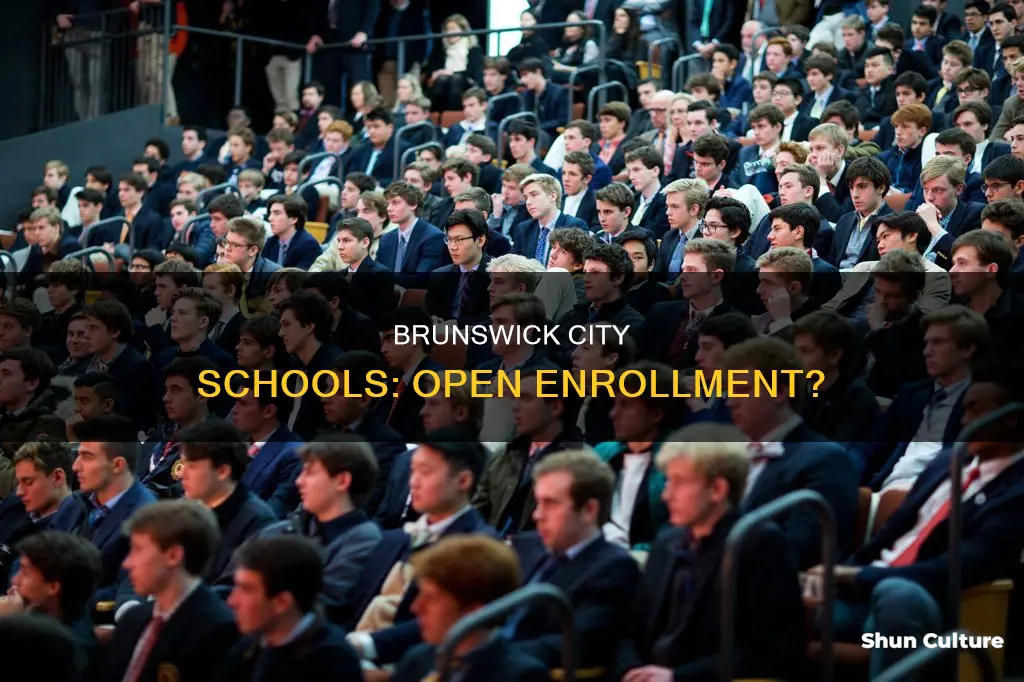 does brunswick ohio city schools open enroll