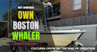 Brunswick's Boston Whaler Ownership