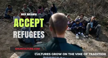 Bulgaria's Refugee Policy: A Comprehensive Overview