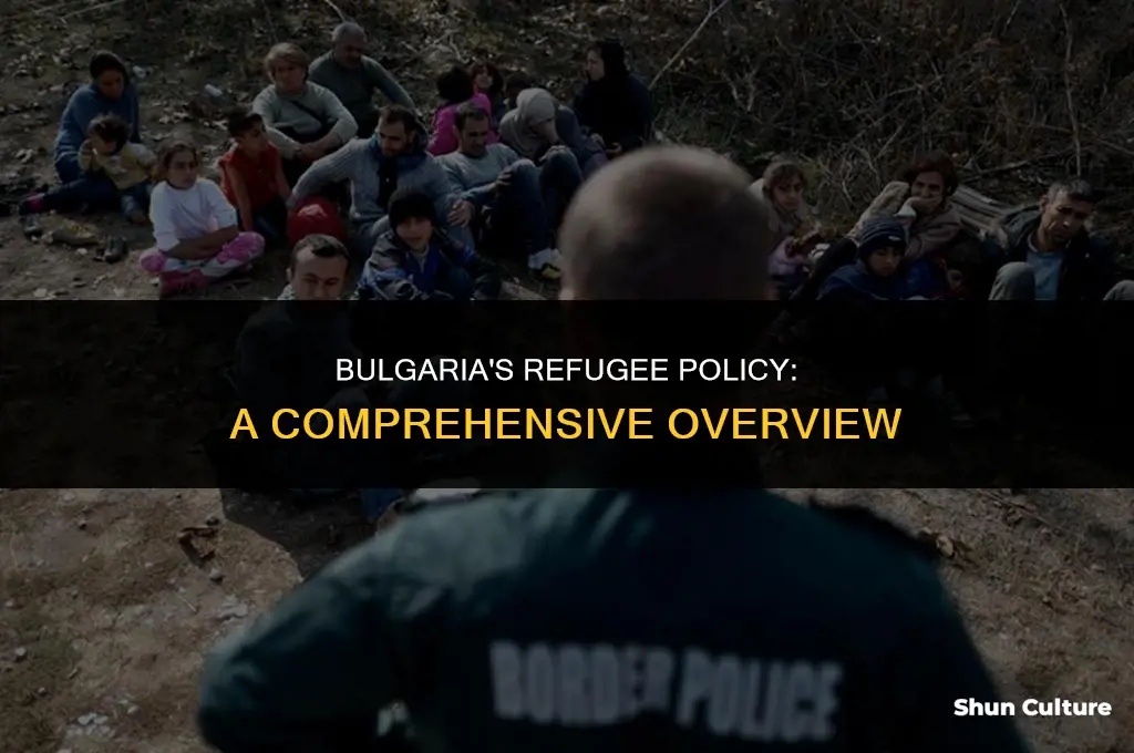 does bulgaria accept refugees