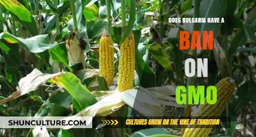 Exploring Bulgaria's Stance on GMOs: A Comprehensive Overview