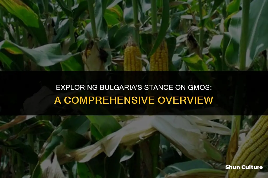 does bulgaria have a ban on gmo