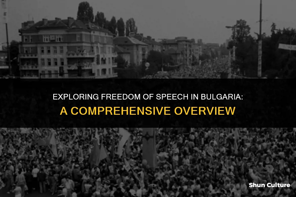does bulgaria have a freedom of speech