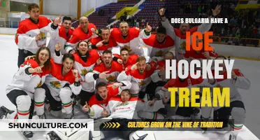 Exploring Bulgaria's Ice Hockey Scene: Team, League, and Passion
