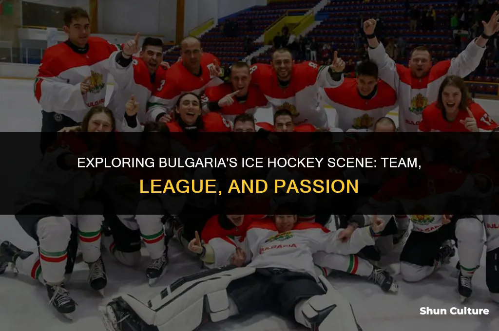 does bulgaria have a ice hockey tream