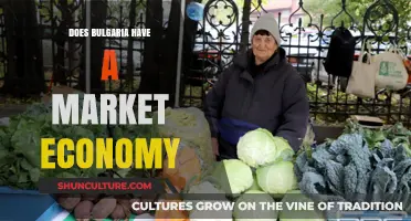 Exploring Bulgaria's Economic System: Market Economy or Not?