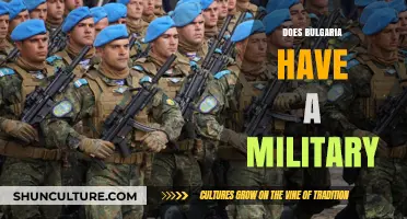 Exploring Bulgaria's Military: A Comprehensive Overview