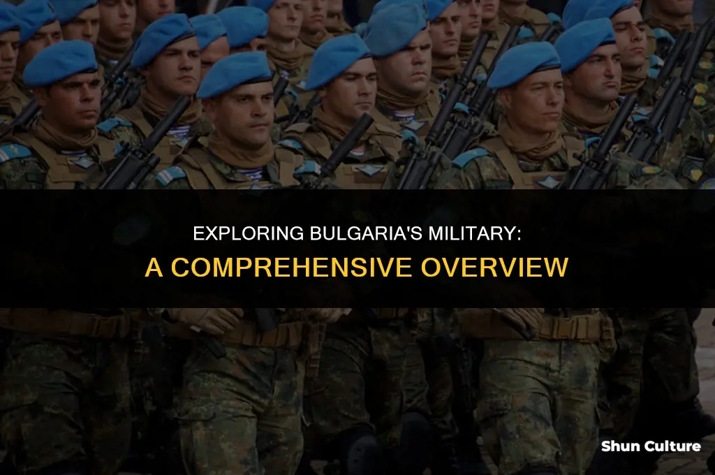 does bulgaria have a military