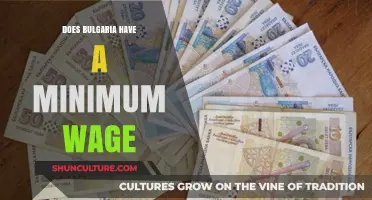 Exploring Bulgaria's Wage Landscape: Is There a Minimum Wage?