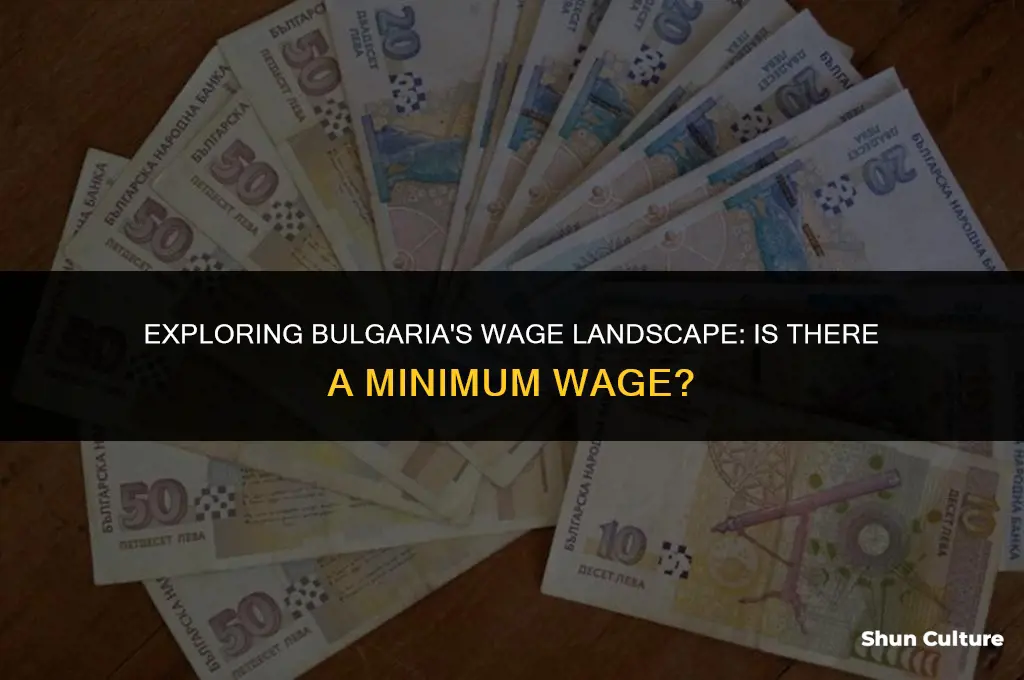 does bulgaria have a minimum wage