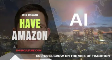 Exploring E-commerce in Bulgaria: The Amazon Connection