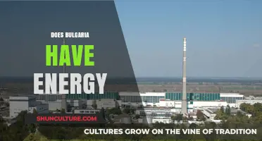 Exploring Bulgaria's Energy Sector: Opportunities and Challenges
