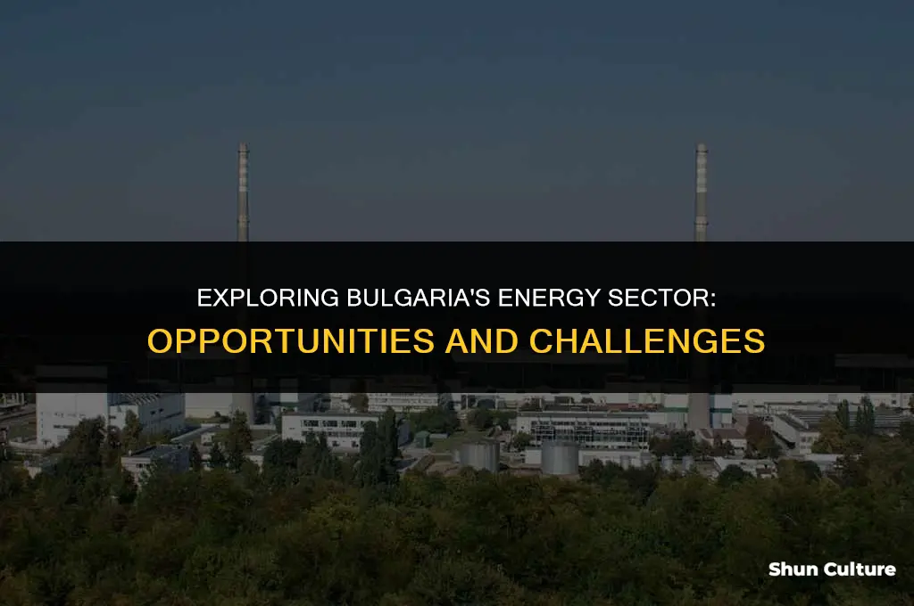 does bulgaria have energy