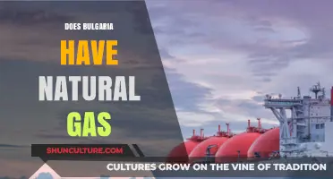 Bulgaria's Natural Gas Potential: A Closer Look at the Country's Energy Resources