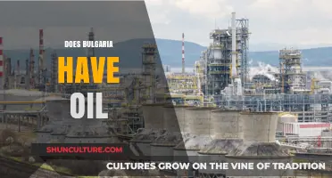 Exploring Bulgaria's Oil Reserves: A Comprehensive Overview
