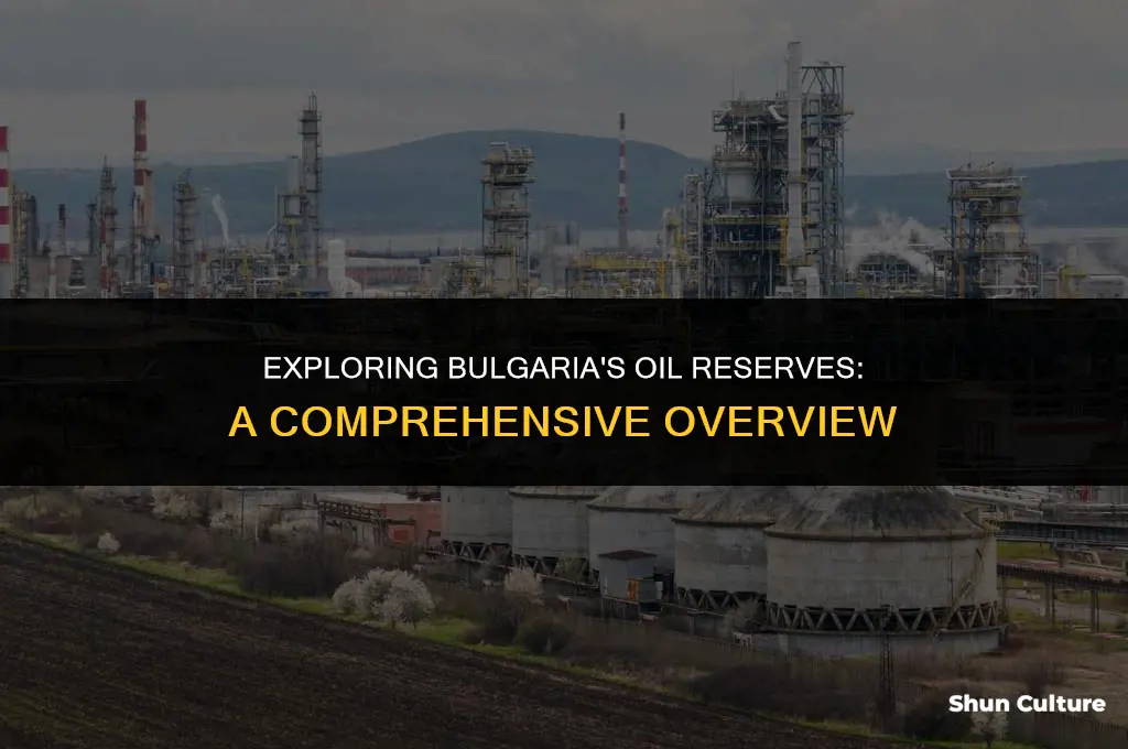 does bulgaria have oil