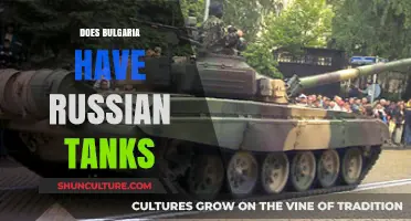 Bulgaria's Military Arsenal: The Presence of Russian Tanks