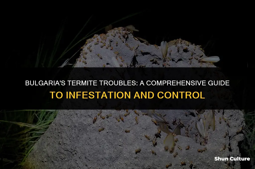 does bulgaria have termites