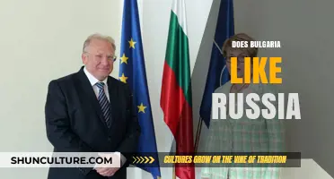 Bulgaria-Russia Relations: A Complex Dance of History and Politics