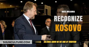 Bulgaria's Stance on Kosovo: Recognition and Relations Explained