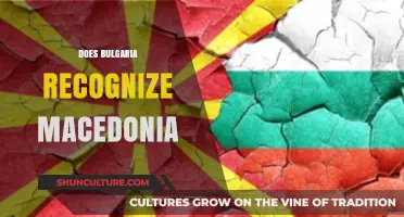 Bulgaria's Recognition of Macedonia: A Complex Diplomatic Issue