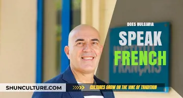 Exploring Linguistic Diversity: Does Bulgaria Speak French?