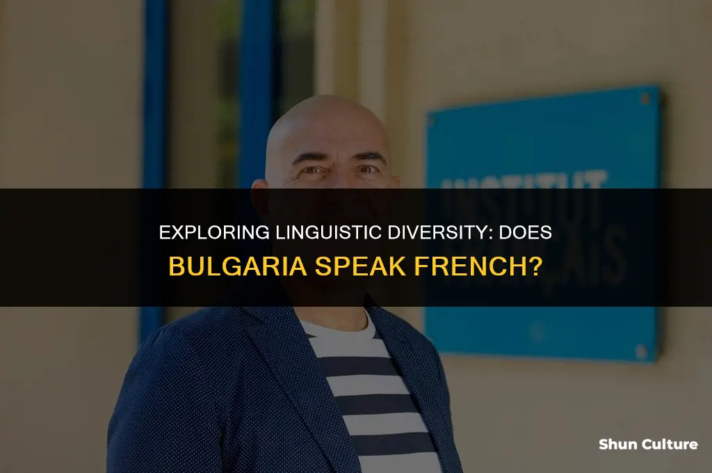 does bulgaria speak french