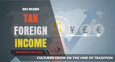 Navigating Bulgarian Tax Laws: A Guide to Foreign Income Taxation