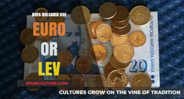Exploring Bulgaria's Currency: The Lev vs. Euro Debate