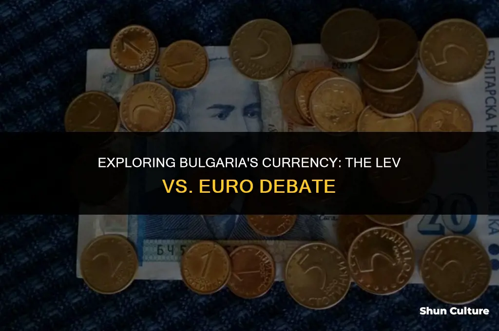 does bulgaria use euro or lev