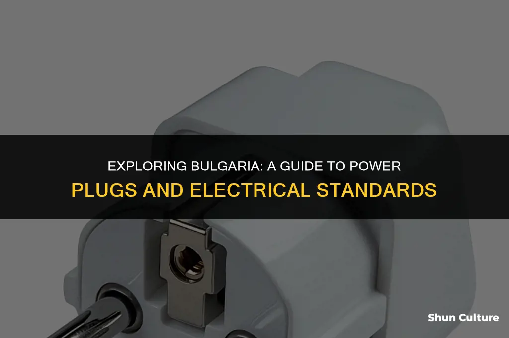 does bulgaria use european plugs