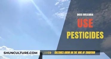 Exploring Bulgaria's Agricultural Practices: Pesticide Use in Focus