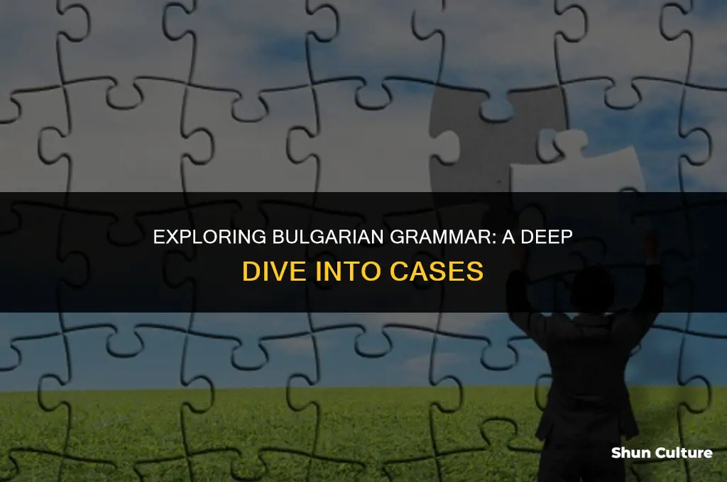 does bulgarian have cases